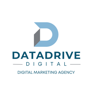 datadrive digital logo